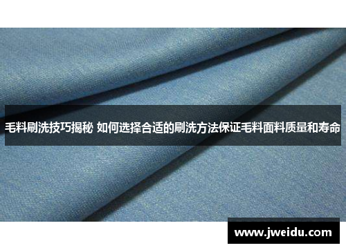 毛料刷洗技巧揭秘 如何选择合适的刷洗方法保证毛料面料质量和寿命