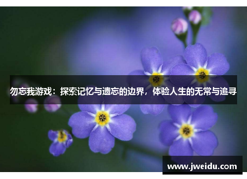 勿忘我游戏：探索记忆与遗忘的边界，体验人生的无常与追寻